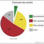 Destination des céréales