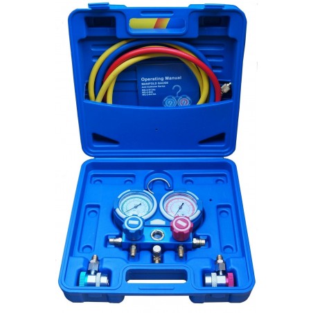 Manifold 2 Voies